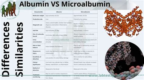 what does vss stand for|Albumin vs. Microalbumin .